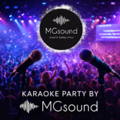 mgsound karaoke party